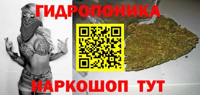 стаф Нальчик