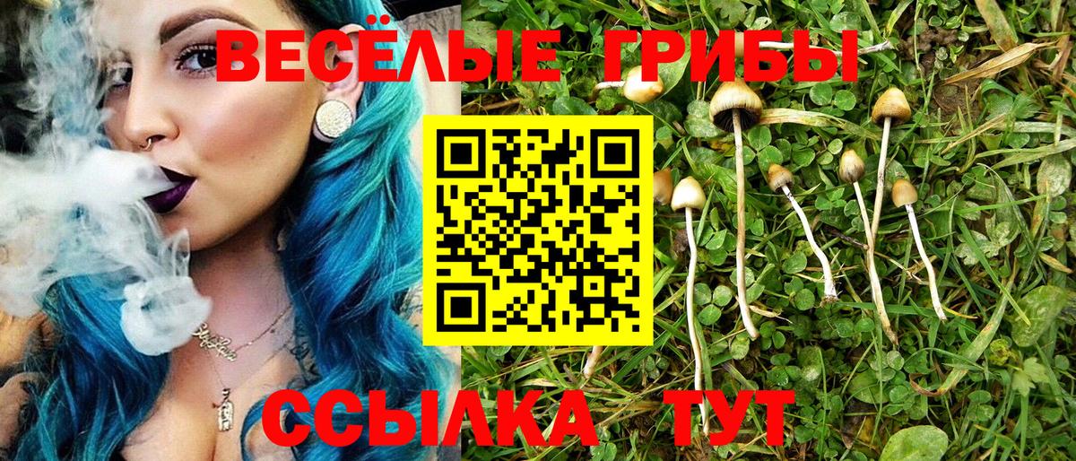 Солнечногорск  купить закладку  Вход с VPN  Псилоцибиновые грибы мицелий 